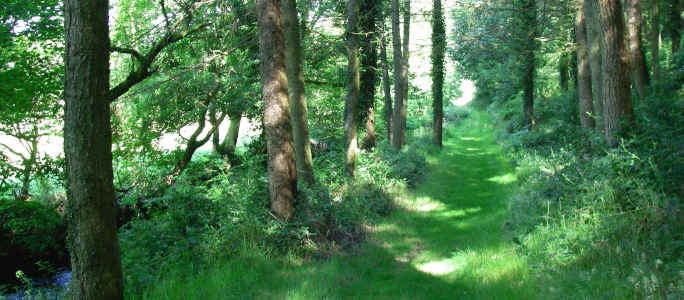 Expedition Leadership