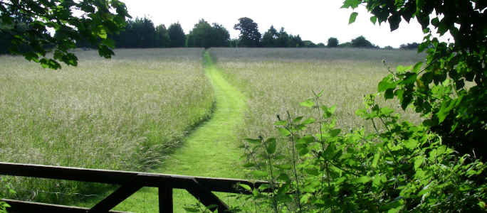 Bronze and Silver DofE